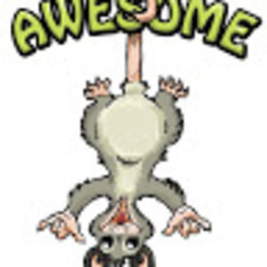 Meet your Posher, Candice